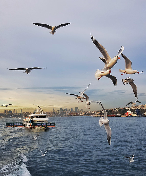 Decouvrir tunisair Istanbul